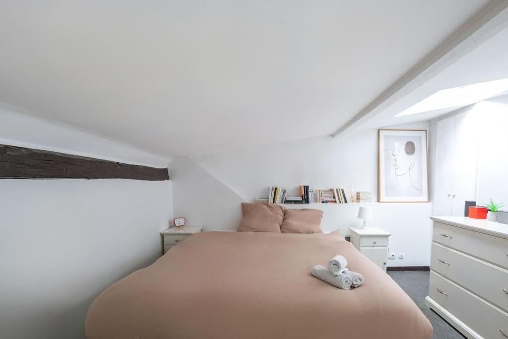 Joli Duplex Au Coeur Du Marais Appartement Parijs